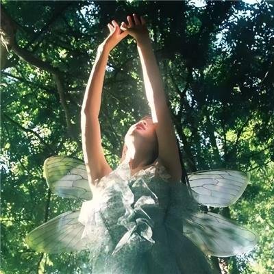 破产后我集万千宠爱于一身